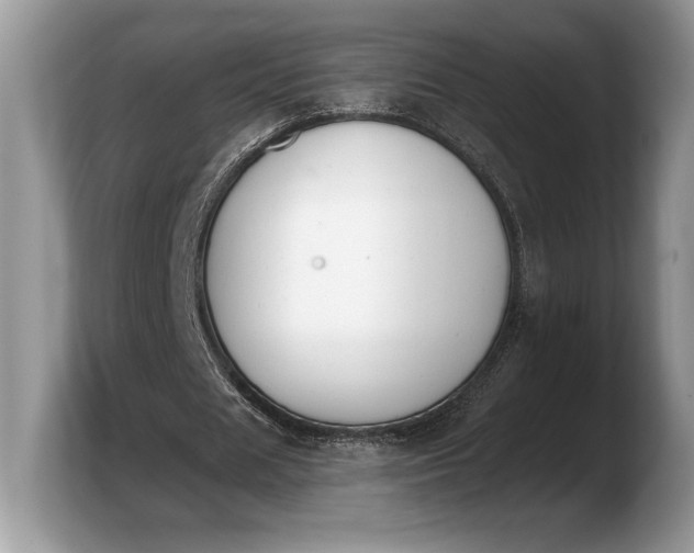 X0000103910625200809261611