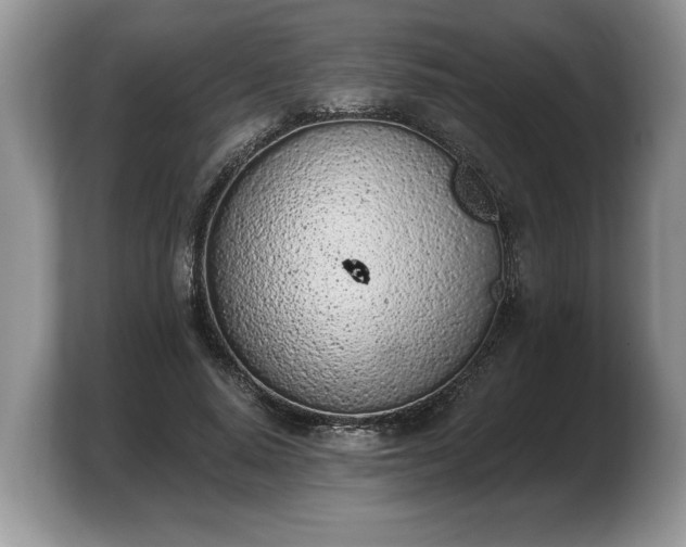 X0000103910640200809261611