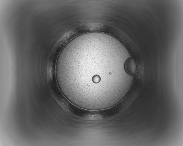 X0000103910644200809261611