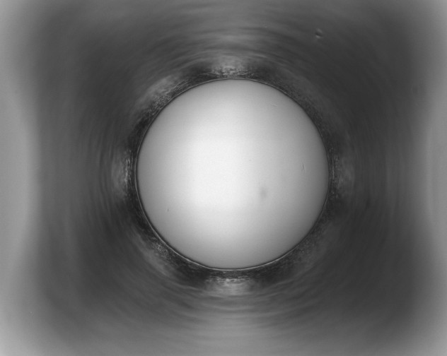 X0000103910645200809261611