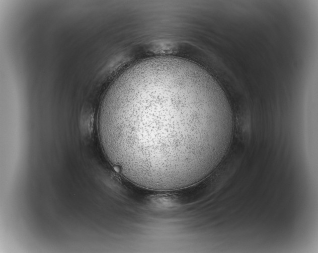 X0000103910652200809261611