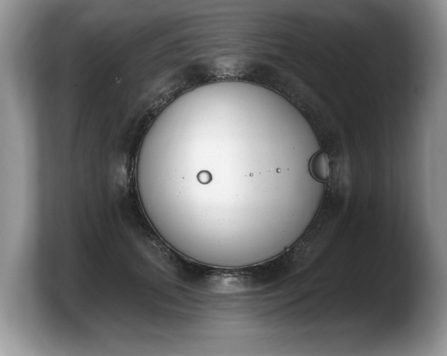 X0000103910655200809261611