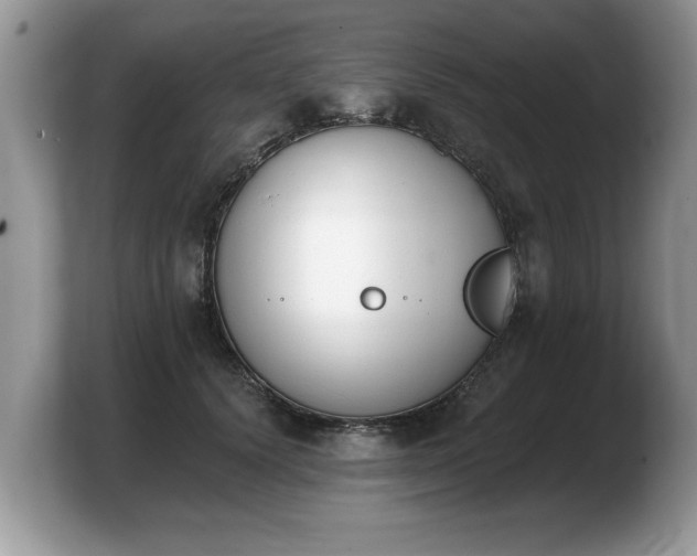 X0000103910656200809261611