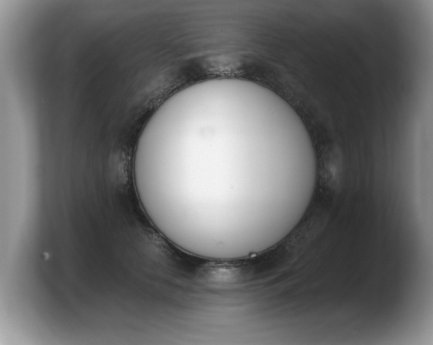 X0000103910658200809261611