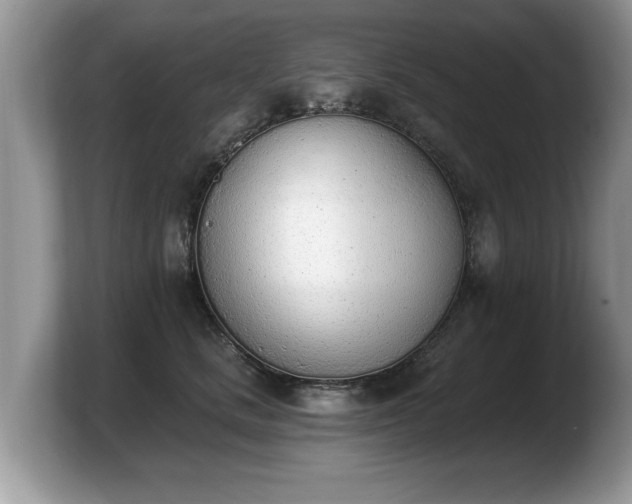 X0000103910661200809261611