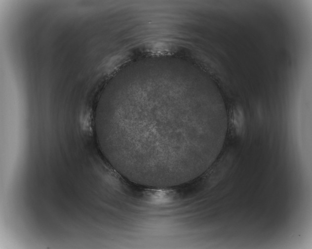 X0000103910663200809261611
