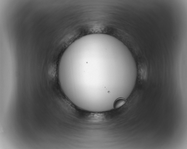 X0000103910665200809261611