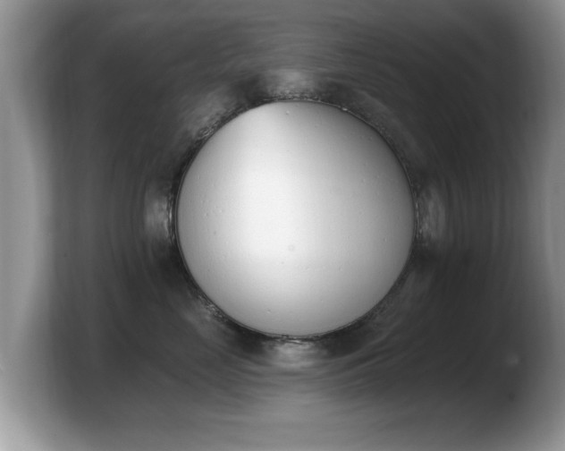 X0000103910669200809261611