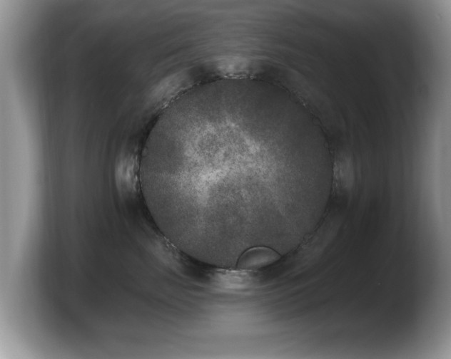 X0000103910671200809261611