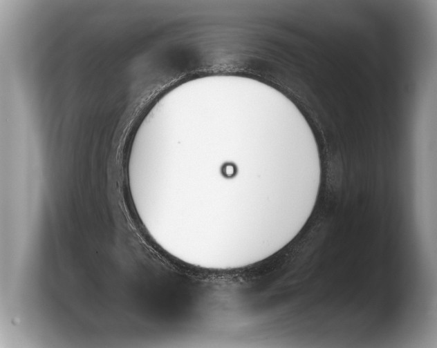X0000103910673200809261611