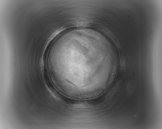 X0000103910674200809261611