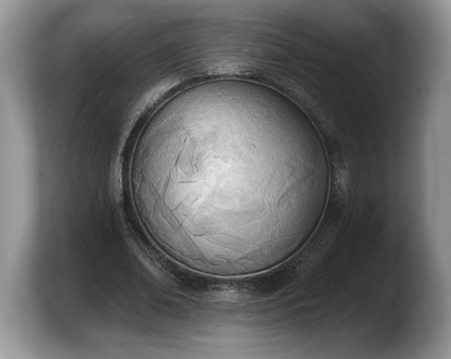 X0000103910678200809261610