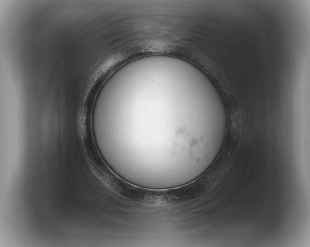 X0000103910679200809261610