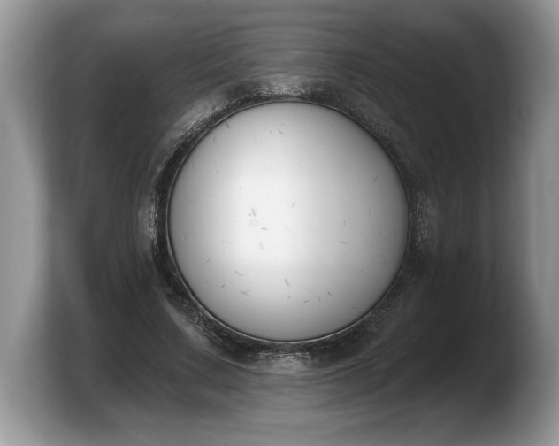X0000103910683200809261610