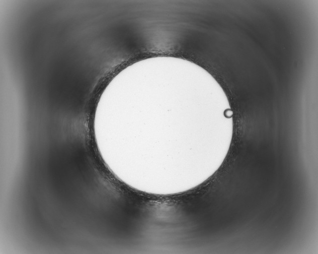 X0000103910688200809261610