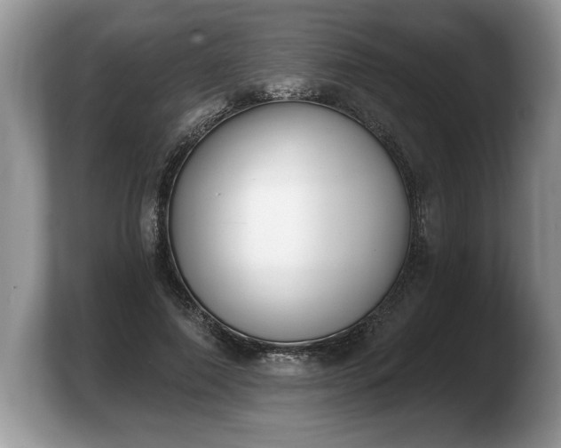 X0000103910690200809261610
