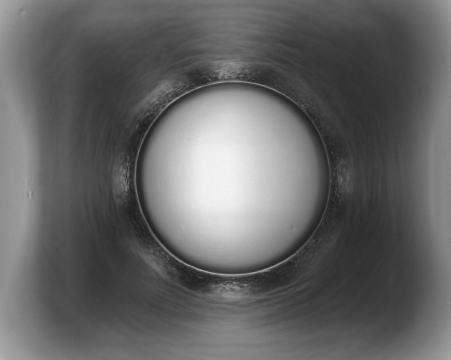 X0000103910691200809261610