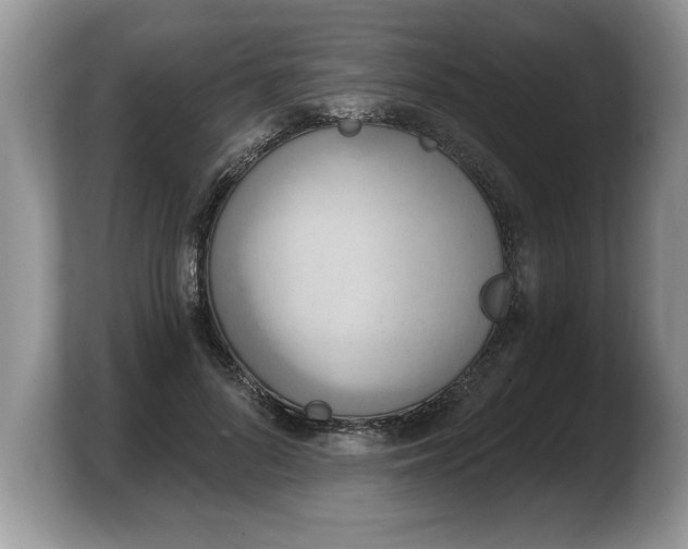 X0000103910696200809261610