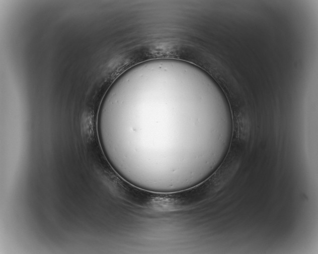 X0000103910699200809261610