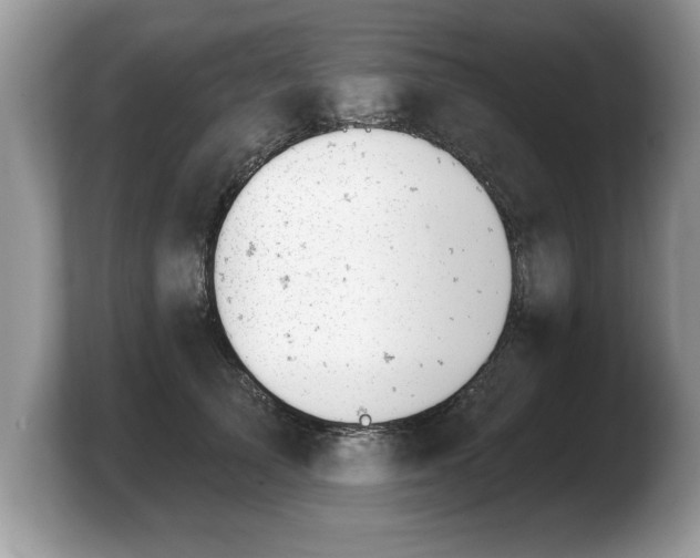 X0000103910705200809261610