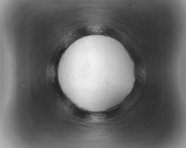 X0000103910707200809261610