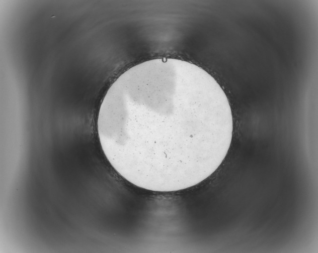 X0000103910708200809261610