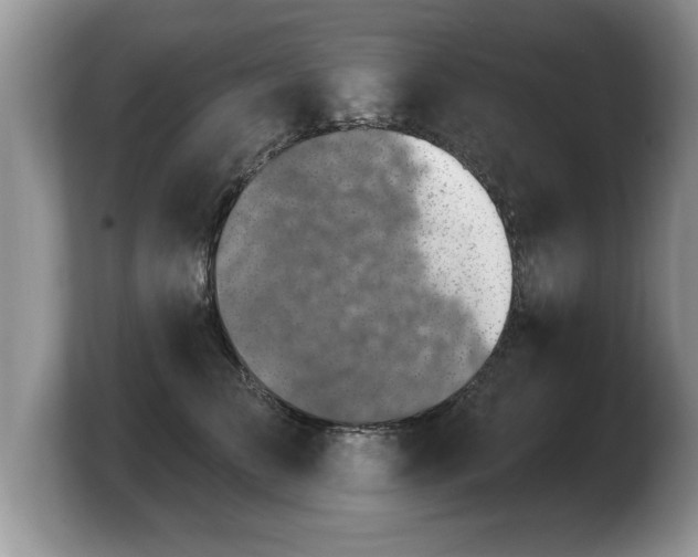 X0000103910709200809261610