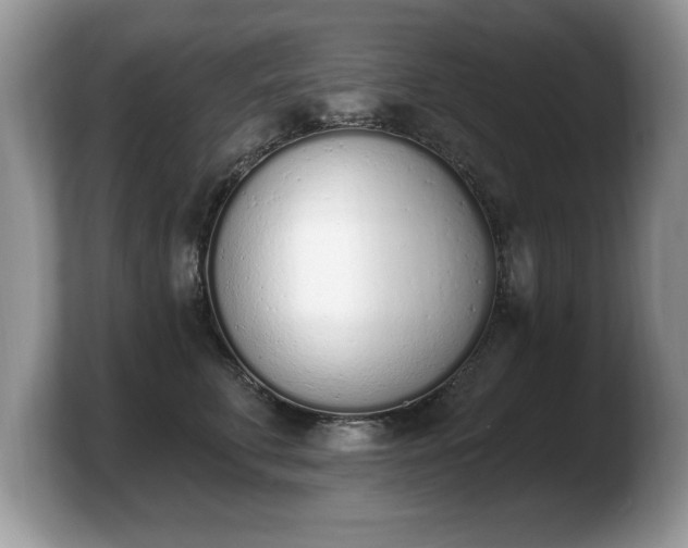 X0000103910711200809261610