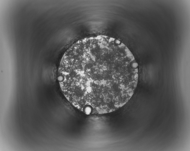 X0000103910712200809261610