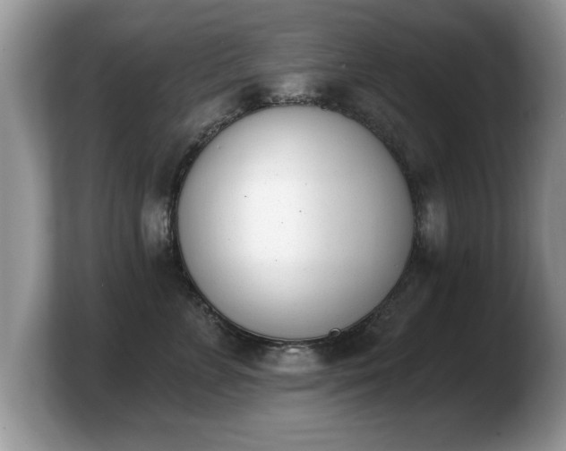 X0000103910715200809261610
