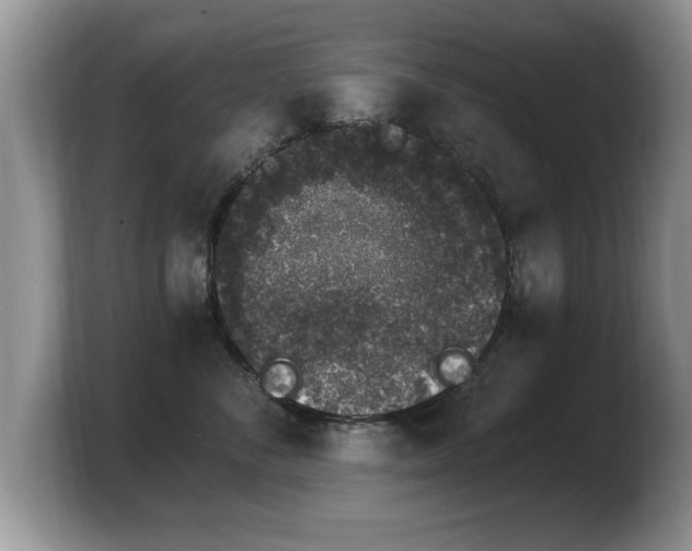 X0000103910716200809261610