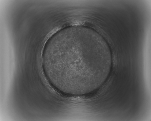 X0000103910721200809261609