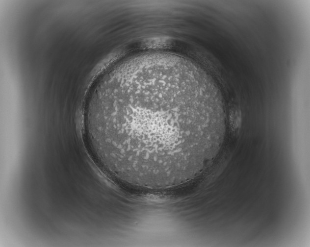 X0000103910725200809261609