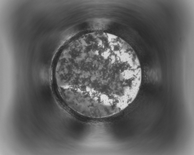 X0000103910726200809261609