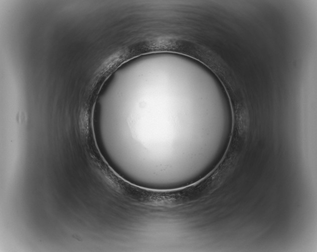 X0000103910729200809261609