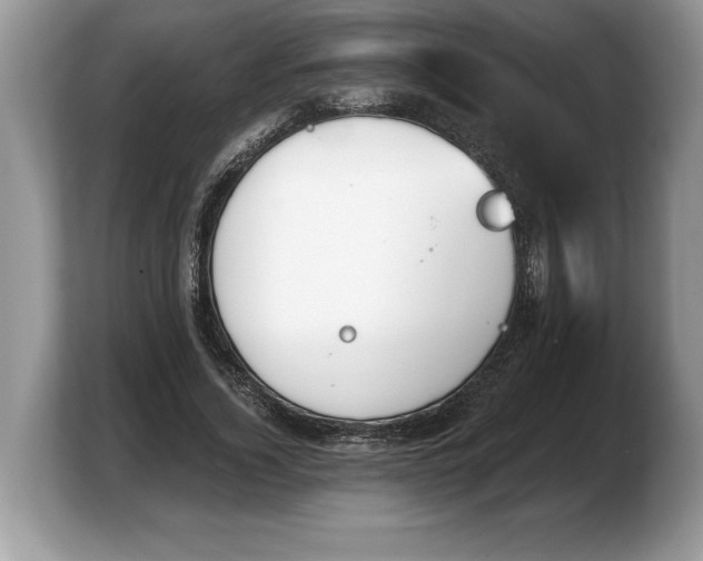 X0000103910732200809261609