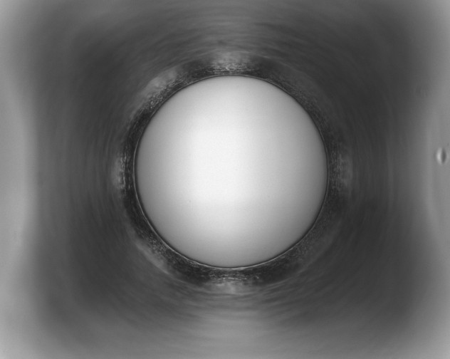 X0000103910738200809261610