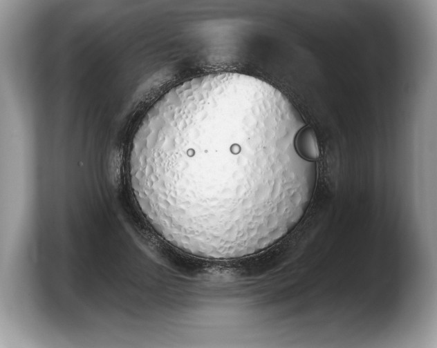 X0000103910742200809261610