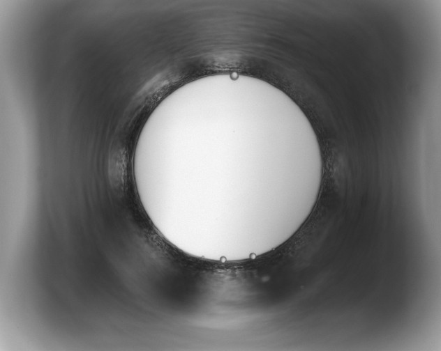 X0000103910744200809261610