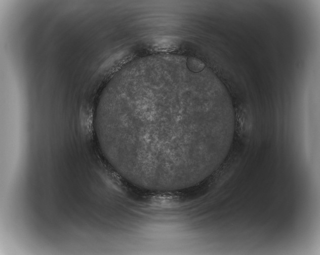 X0000103910745200809261610