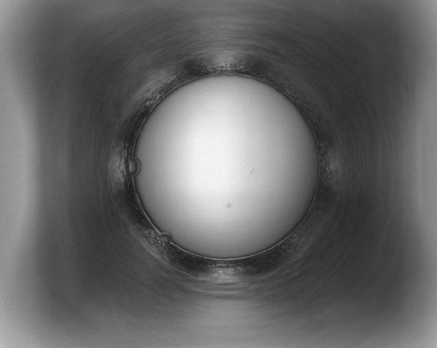 X0000103910746200809261610