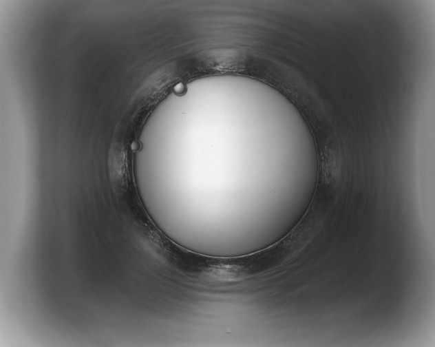 X0000103910748200809261610