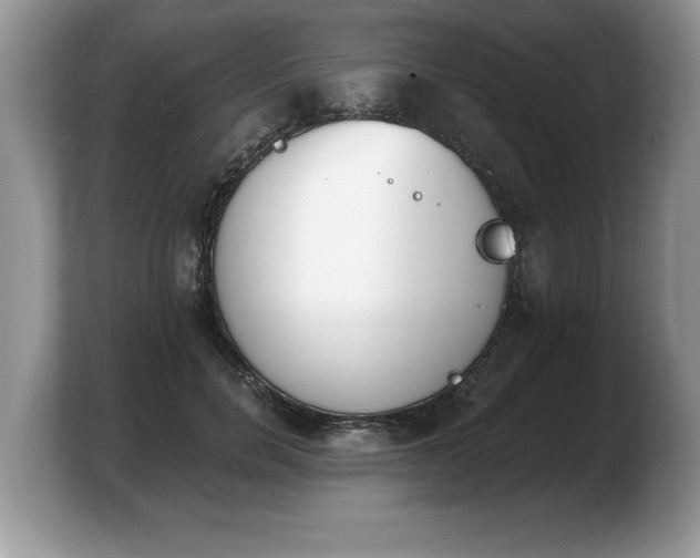 X0000103910750200809261610