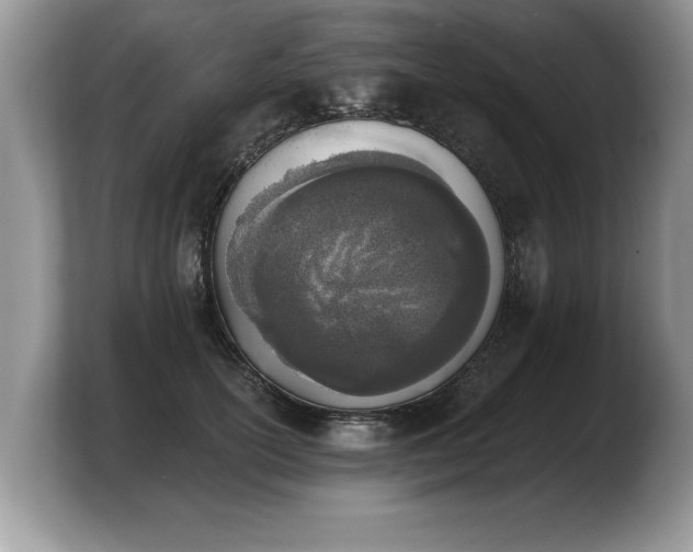 X0000103910754200809261610