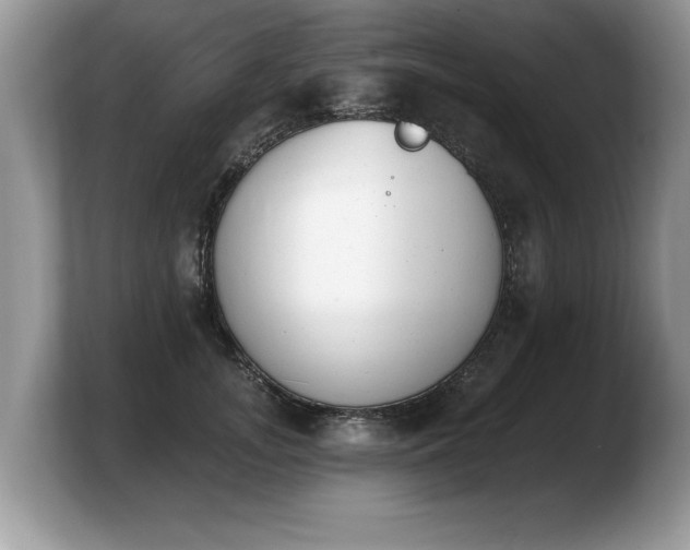 X0000103910755200809261610