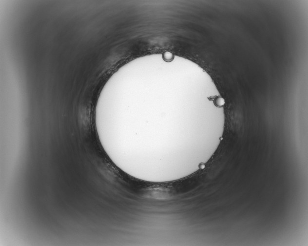 X0000103910756200809261610