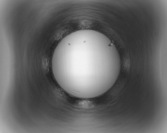 X0000103910759200809261610