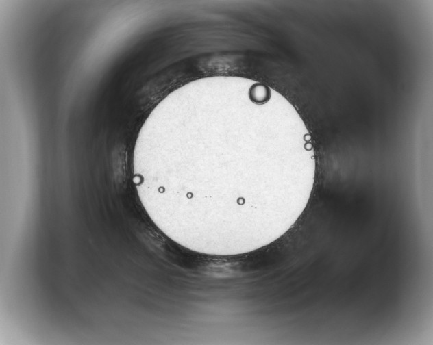 X0000103910760200809261610