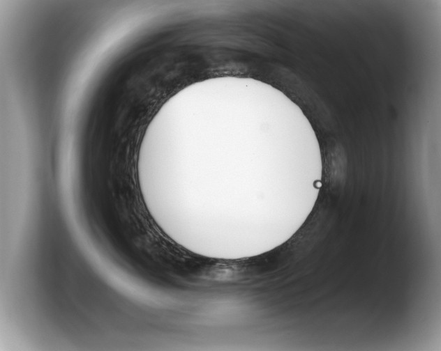 X0000103910764200809261610