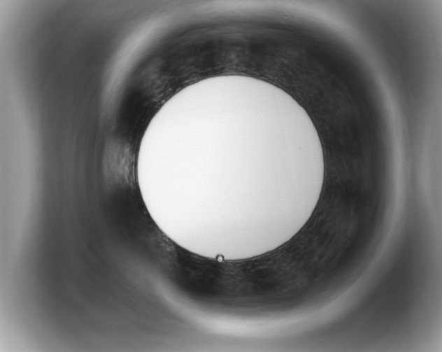 X0000103910766200809261610